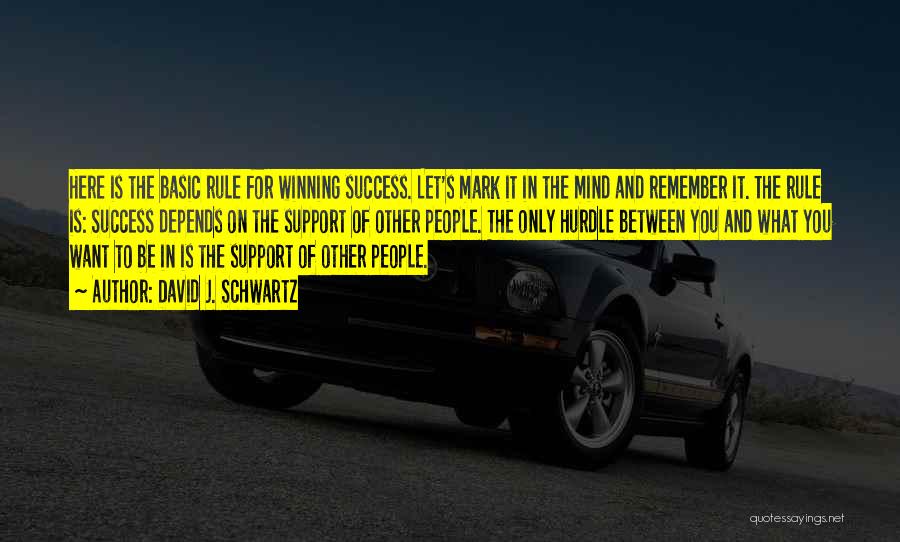 Other People's Success Quotes By David J. Schwartz