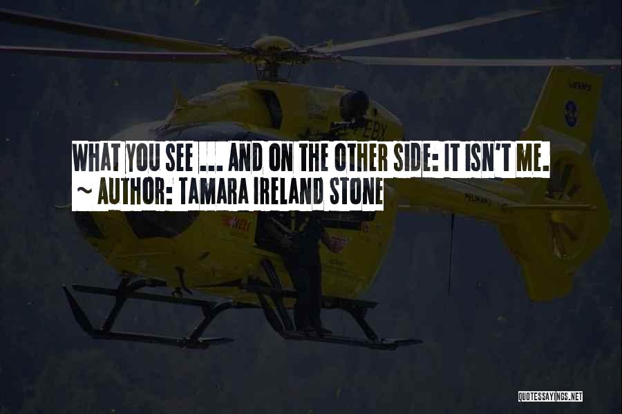 Other Side Me Quotes By Tamara Ireland Stone