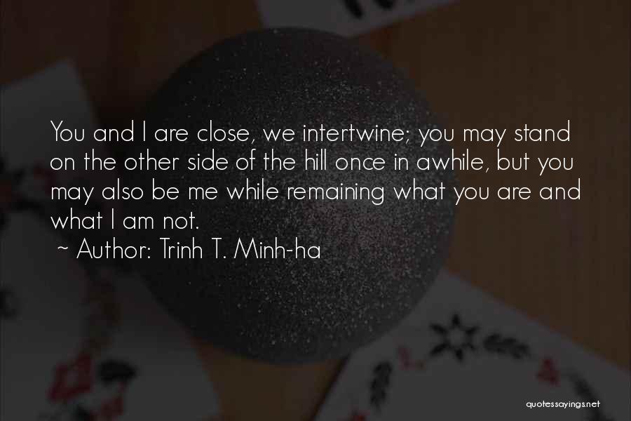 Other Side Me Quotes By Trinh T. Minh-ha