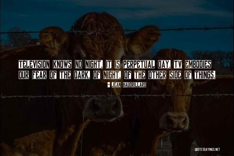 Other Side Of Fear Quotes By Jean Baudrillard Other Side Of Fear Quotes By Jean Baudrillard