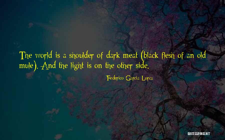 Other Side Of The World Quotes By Federico Garcia Lorca