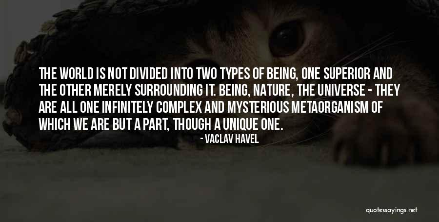 Other Types Quotes By Vaclav Havel Other Types Quotes By Vaclav Havel