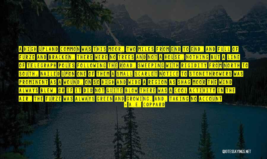 Other Wind Quotes By A.E. Coppard Other Wind Quotes By A.E. Coppard