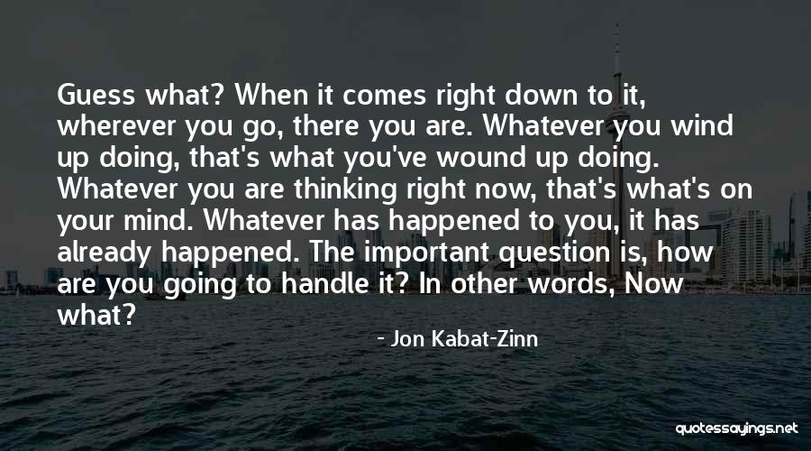 Other Wind Quotes By Jon Kabat-Zinn Other Wind Quotes By Jon Kabat-Zinn