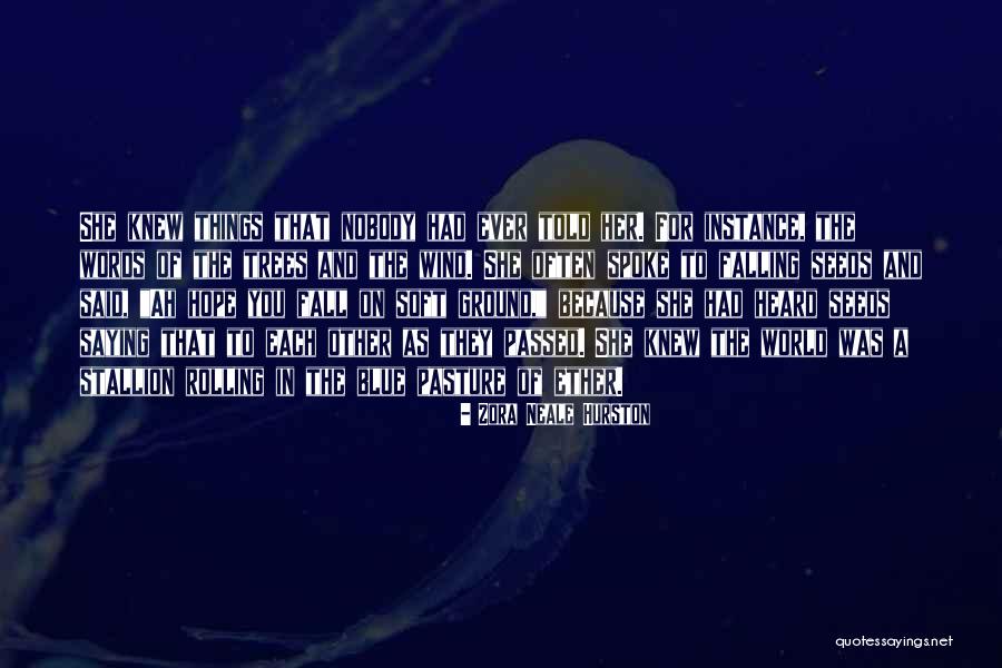 Other Wind Quotes By Zora Neale Hurston Other Wind Quotes By Zora Neale Hurston