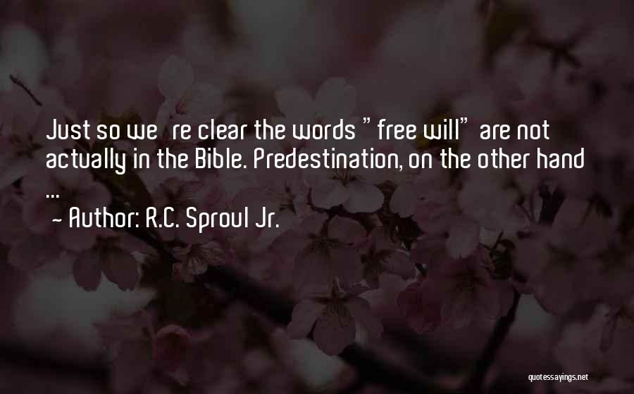 Other Words Quotes By R.C. Sproul Jr.