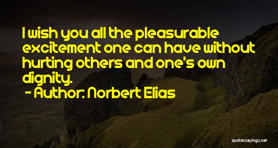 Others Hurting You Quotes By Norbert Elias