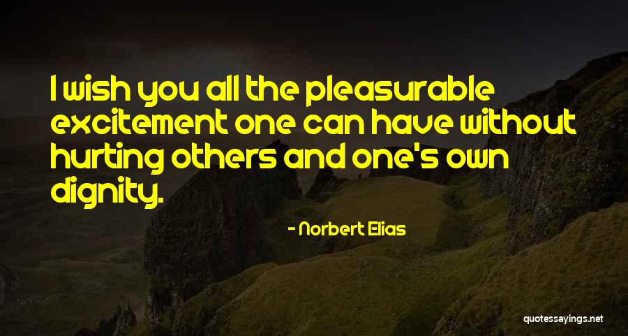 Others Hurting You Quotes By Norbert Elias