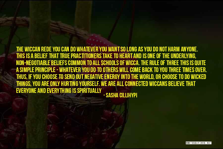 Others Hurting You Quotes By Sasha Cillihypi