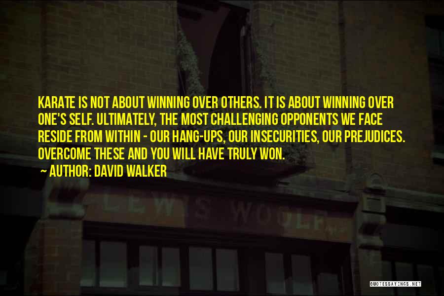 Others Insecurities Quotes By David Walker