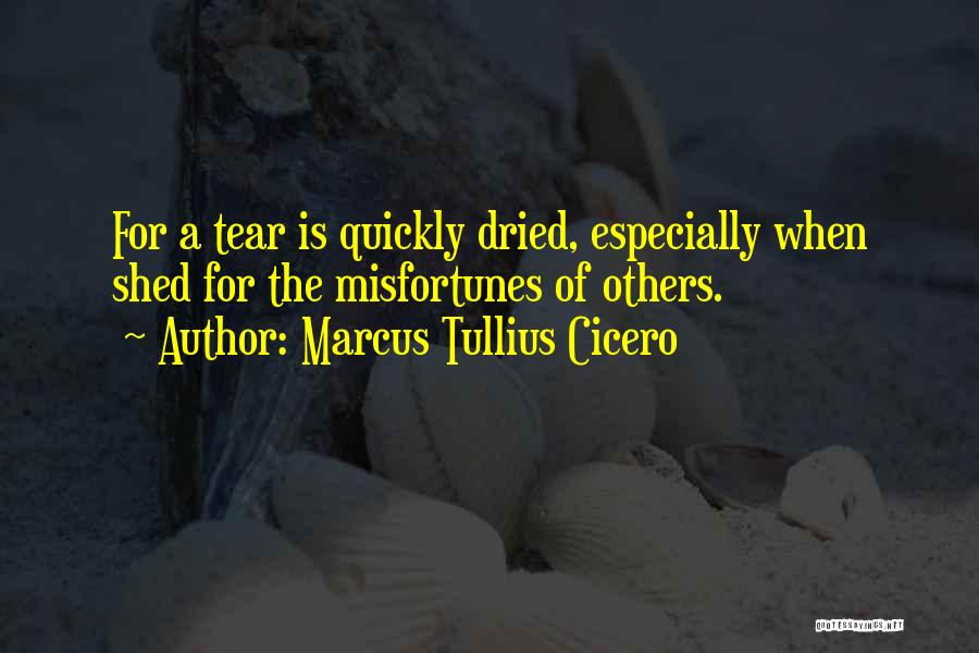 Others Misfortunes Quotes By Marcus Tullius Cicero