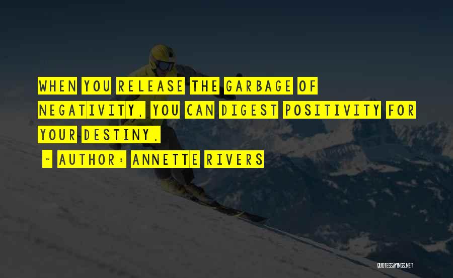 Others Negativity Quotes By Annette Rivers