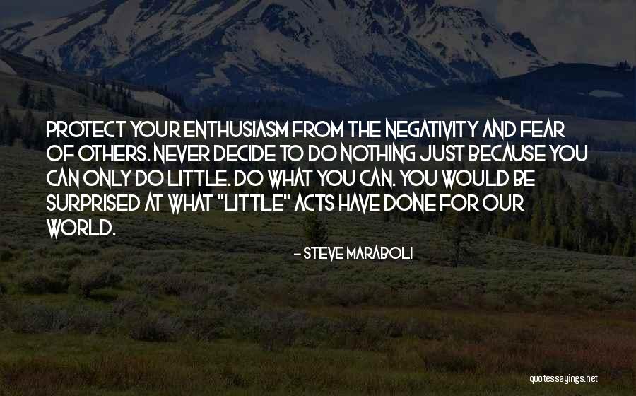 Others Negativity Quotes By Steve Maraboli