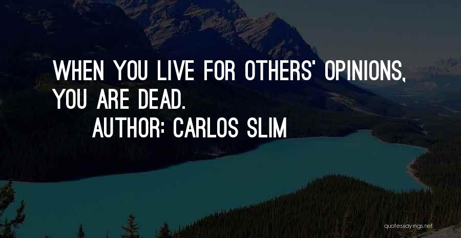 Others Opinions Quotes By Carlos Slim