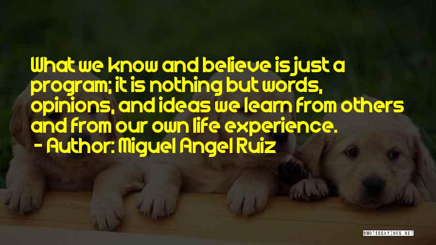 Others Opinions Quotes By Miguel Angel Ruiz