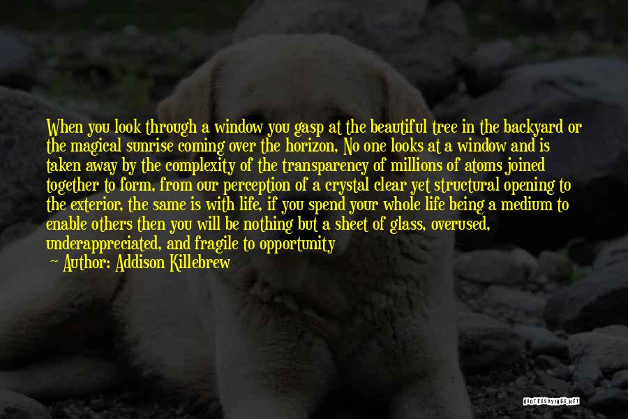 Others Perception Of You Quotes By Addison Killebrew