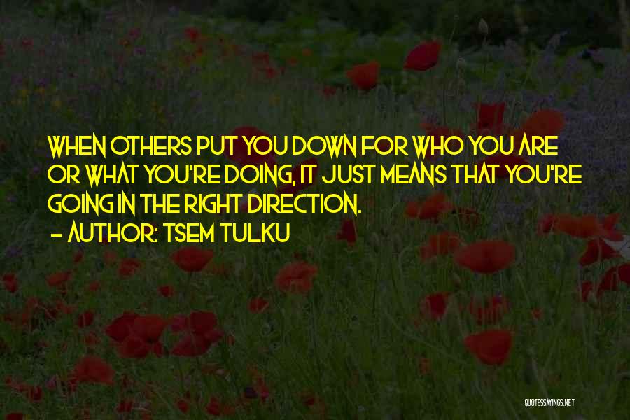 Others Who Put You Down Quotes By Tsem Tulku