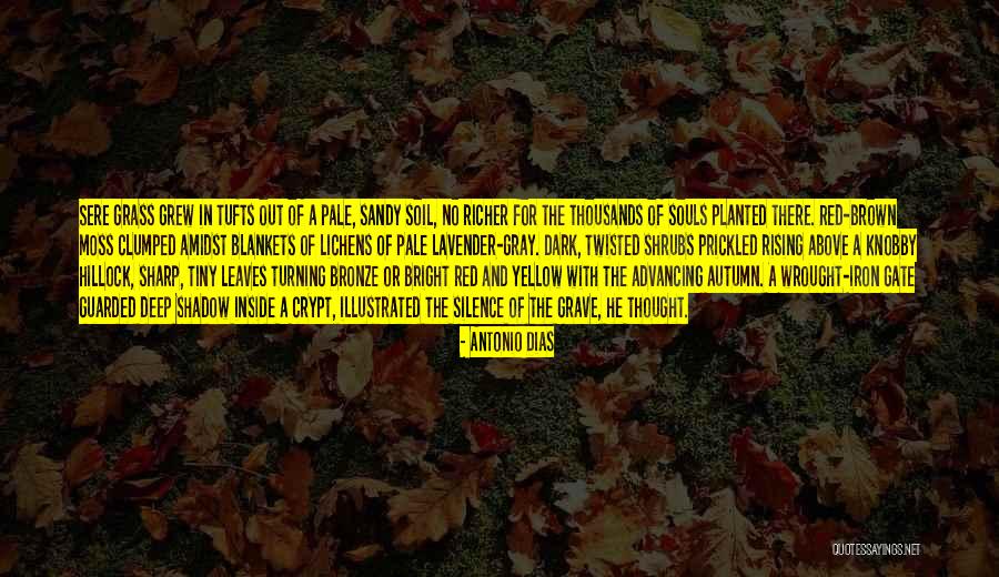 Otilio Medina Quotes By Antonio Dias Otilio Medina Quotes By Antonio Dias