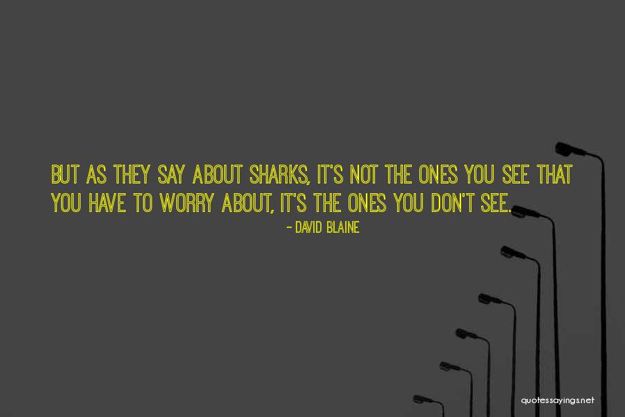 Otley Quotes By David Blaine Otley Quotes By David Blaine