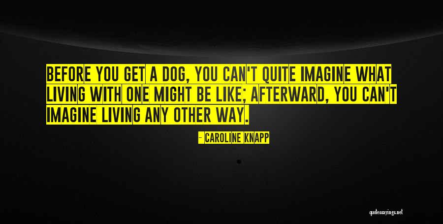 Otohiko Battle Quotes By Caroline Knapp Otohiko Battle Quotes By Caroline Knapp