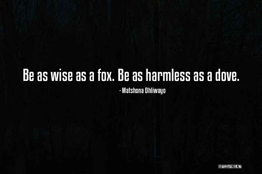 Otoja Abit Quotes By Matshona Dhliwayo Otoja Abit Quotes By Matshona Dhliwayo