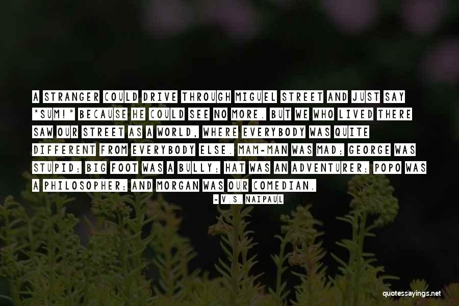 Otrok Rsk Demokracie Quotes By V.S. Naipaul Otrok Rsk Demokracie Quotes By V.S. Naipaul