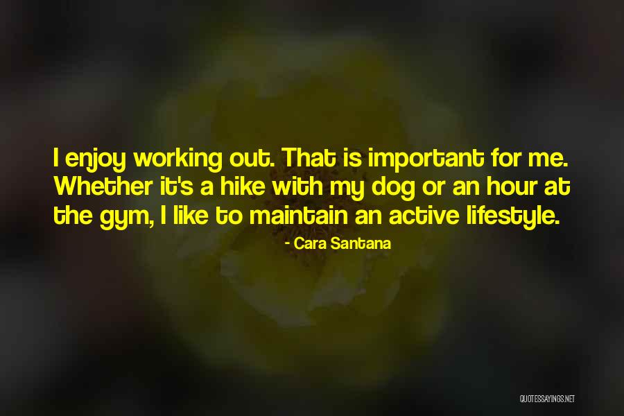 Otros Buscadores Quotes By Cara Santana Otros Buscadores Quotes By Cara Santana