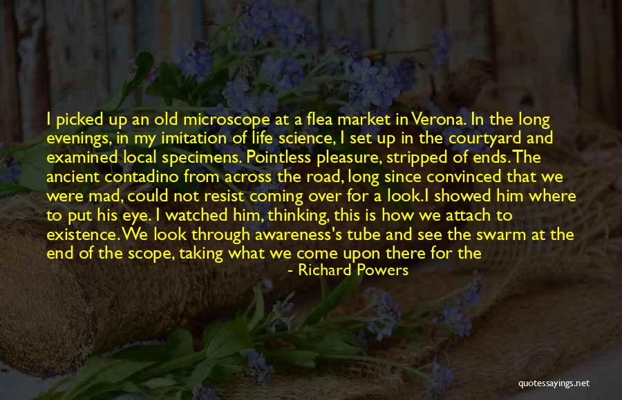 Ottantotto Quotes By Richard Powers Ottantotto Quotes By Richard Powers