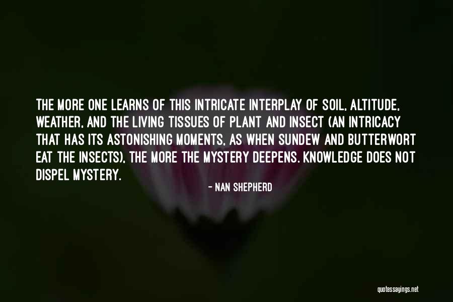 Ottensen Quotes By Nan Shepherd Ottensen Quotes By Nan Shepherd