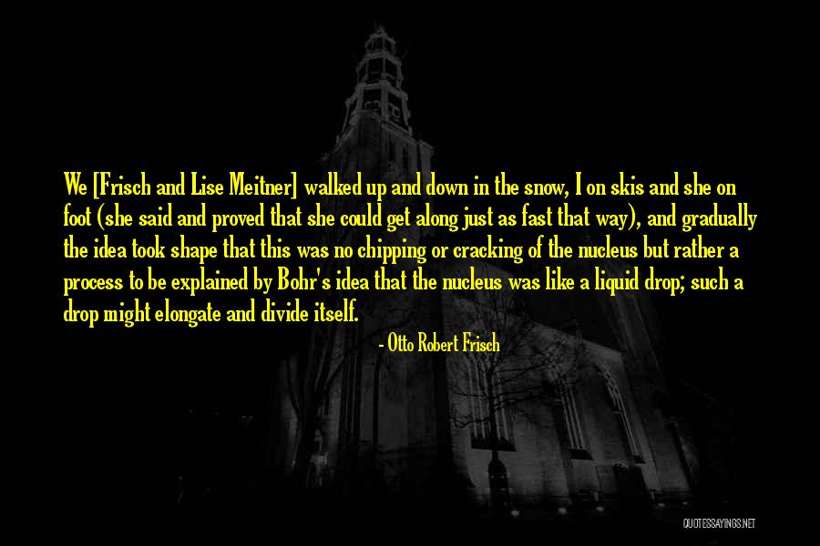 Otto Frisch Quotes By Otto Robert Frisch Otto Frisch Quotes By Otto Robert Frisch