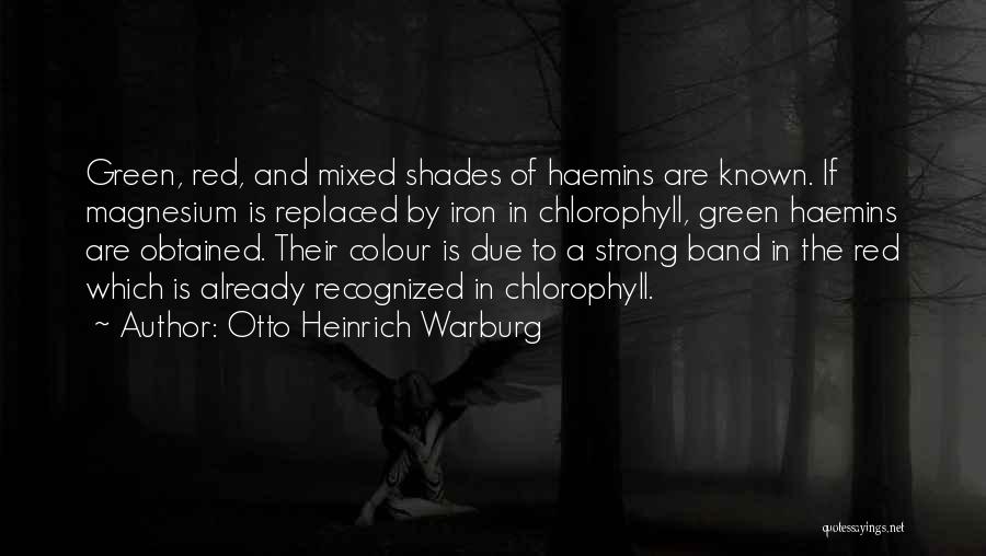 Otto Heinrich Warburg Quotes 611301