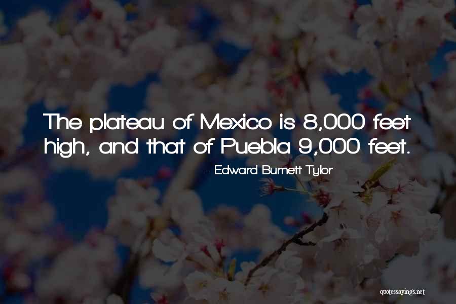 Otto Steinert Quotes By Edward Burnett Tylor Otto Steinert Quotes By Edward Burnett Tylor