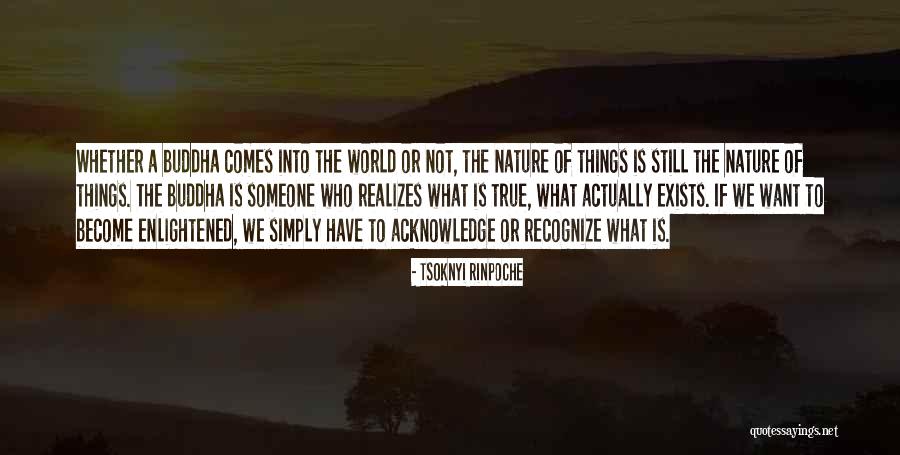 Otvorena Rana Quotes By Tsoknyi Rinpoche Otvorena Rana Quotes By Tsoknyi Rinpoche