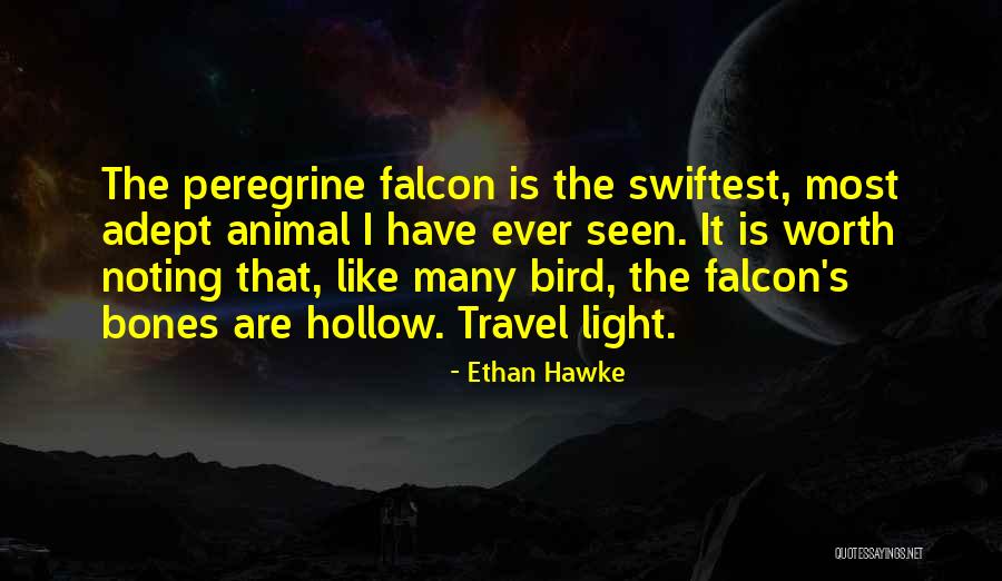 Otvorite Novi Quotes By Ethan Hawke Otvorite Novi Quotes By Ethan Hawke