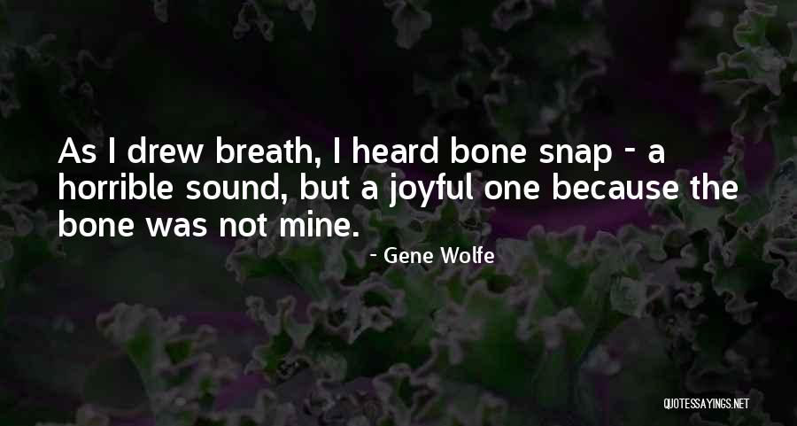 Oublier In French Quotes By Gene Wolfe Oublier In French Quotes By Gene Wolfe