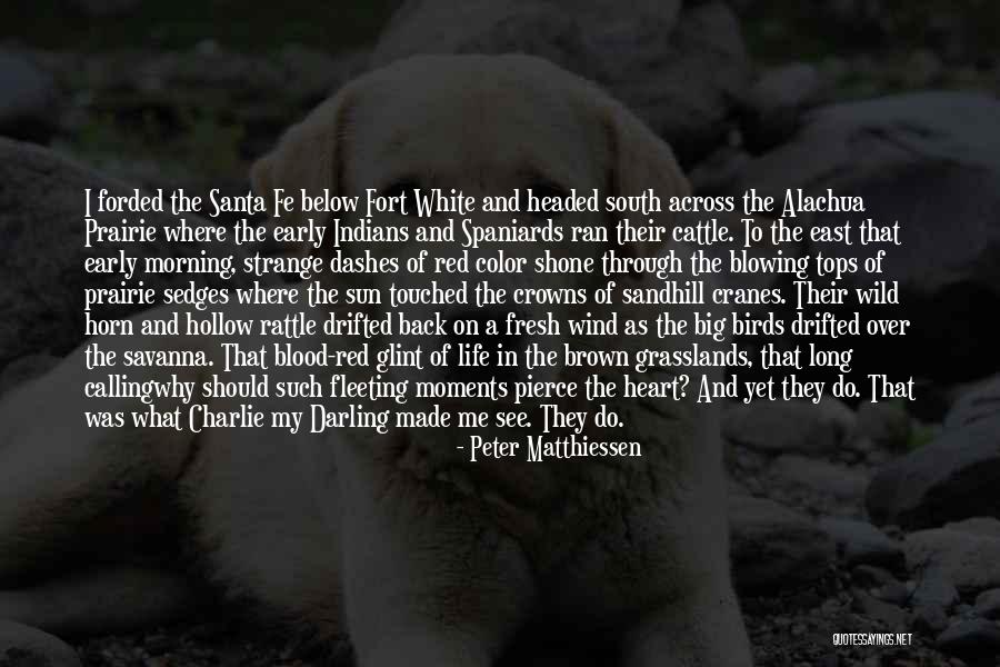 Oubliette Quotes By Peter Matthiessen Oubliette Quotes By Peter Matthiessen