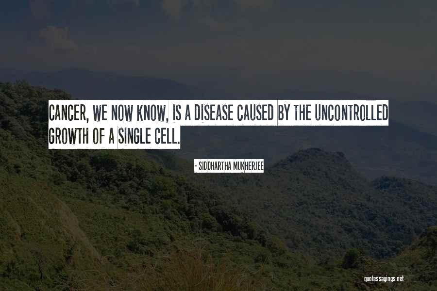 Oudolf Hummelo Quotes By Siddhartha Mukherjee Oudolf Hummelo Quotes By Siddhartha Mukherjee