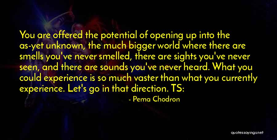 Ouimet Funeral Home Quotes By Pema Chodron Ouimet Funeral Home Quotes By Pema Chodron