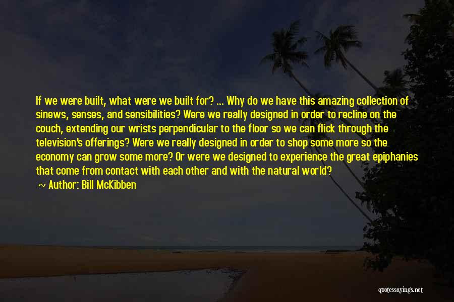 Our Amazing World Quotes By Bill McKibben