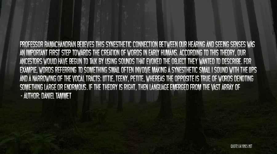 Our Ancestors Quotes By Daniel Tammet