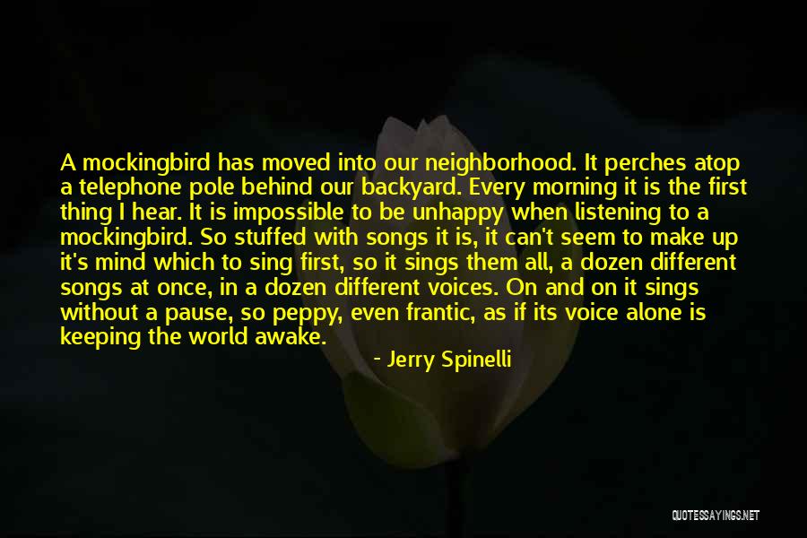 Our Backyard Quotes By Jerry Spinelli