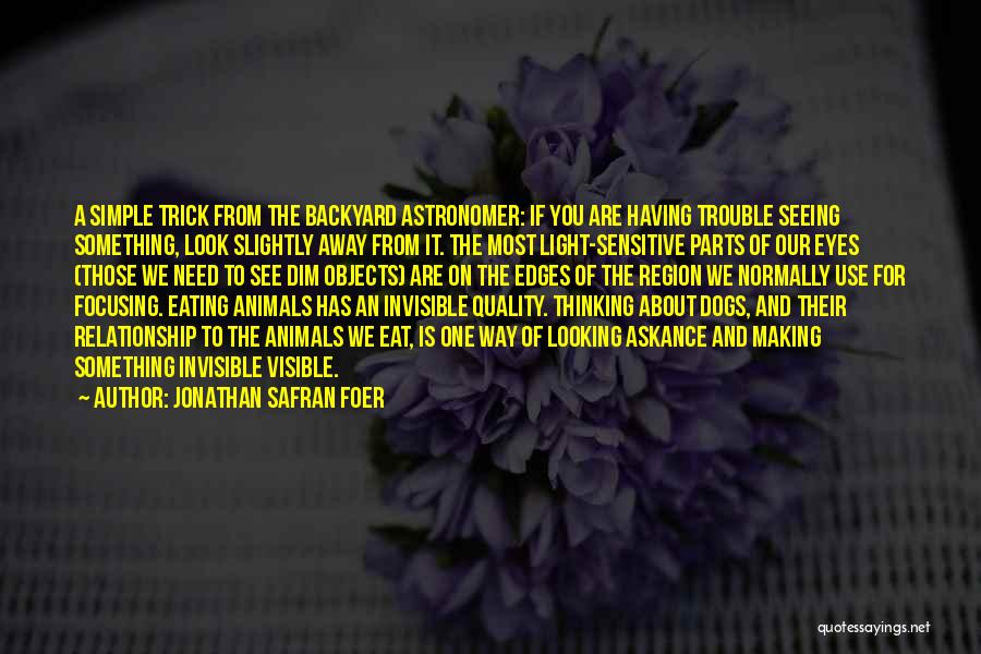 Our Backyard Quotes By Jonathan Safran Foer