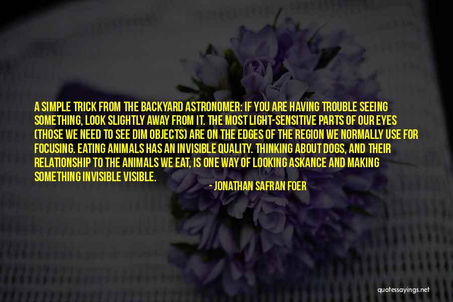 Our Backyard Quotes By Jonathan Safran Foer