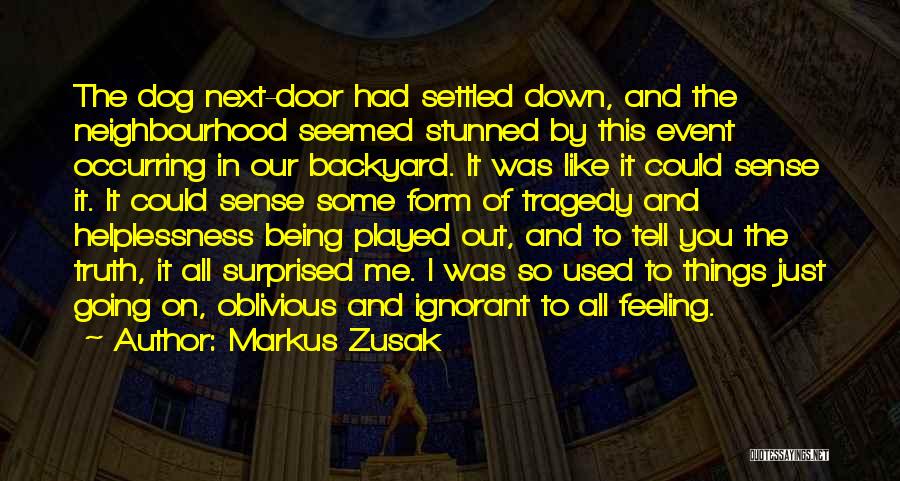 Our Backyard Quotes By Markus Zusak