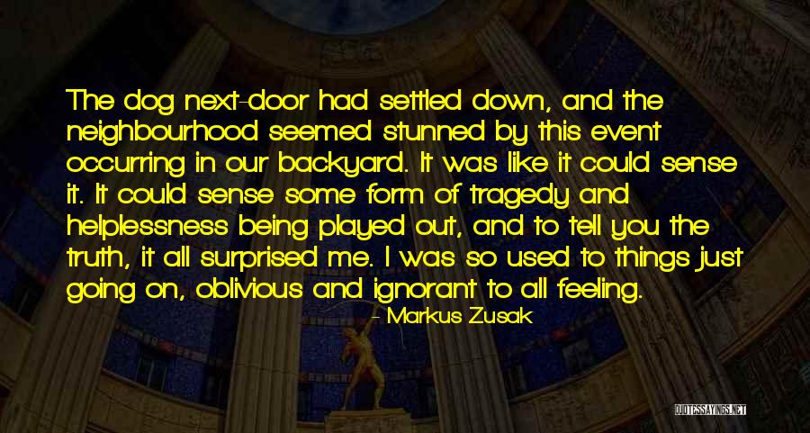 Our Backyard Quotes By Markus Zusak