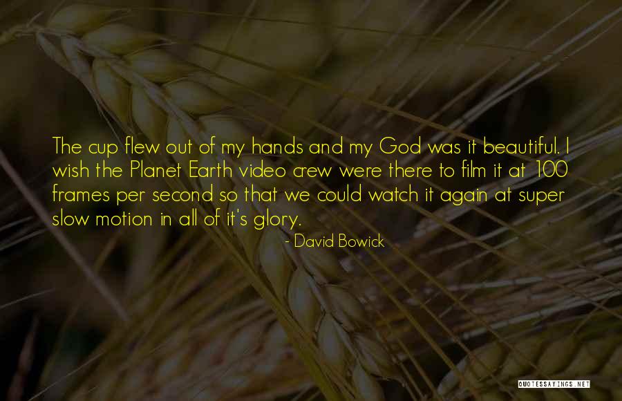 Our Beautiful Planet Quotes By David Bowick Our Beautiful Planet Quotes By David Bowick