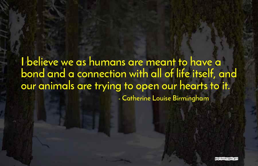 Our Bond Quotes By Catherine Louise Birmingham Our Bond Quotes By Catherine Louise Birmingham