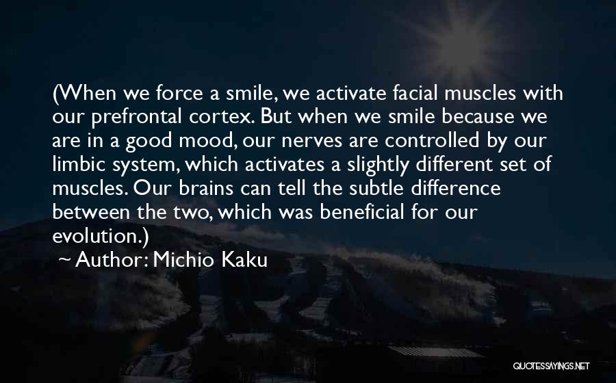 Our Brains Quotes By Michio Kaku