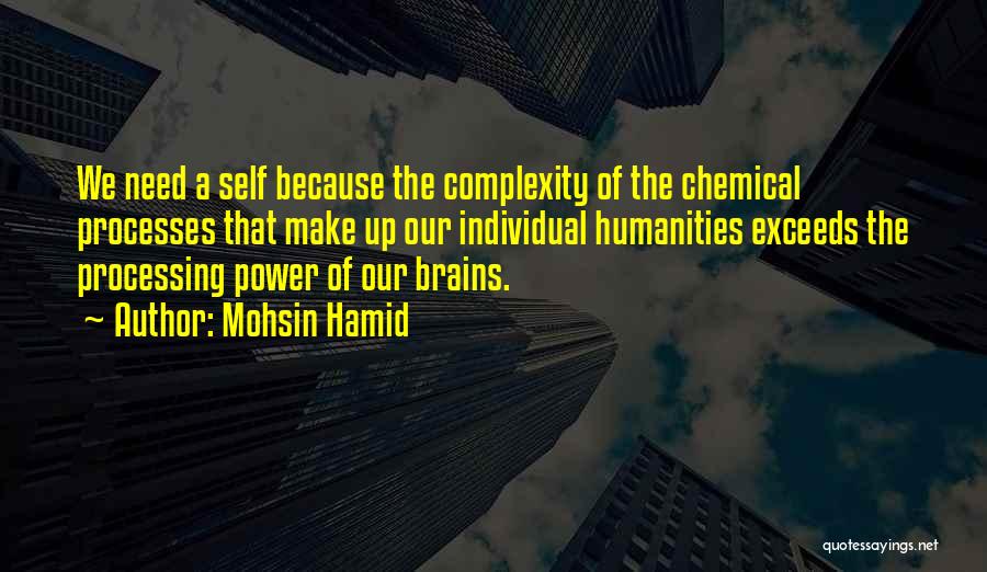 Our Brains Quotes By Mohsin Hamid