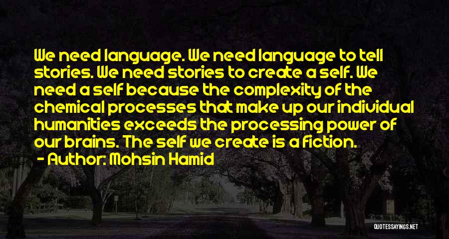 Our Brains Quotes By Mohsin Hamid